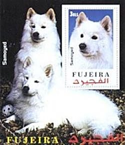 Samoyed Souvenir Sheet from Fujeira -- 2000