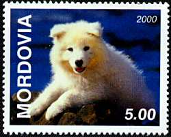 Mordovia -- 2000